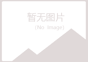 新城区听兰会计有限公司